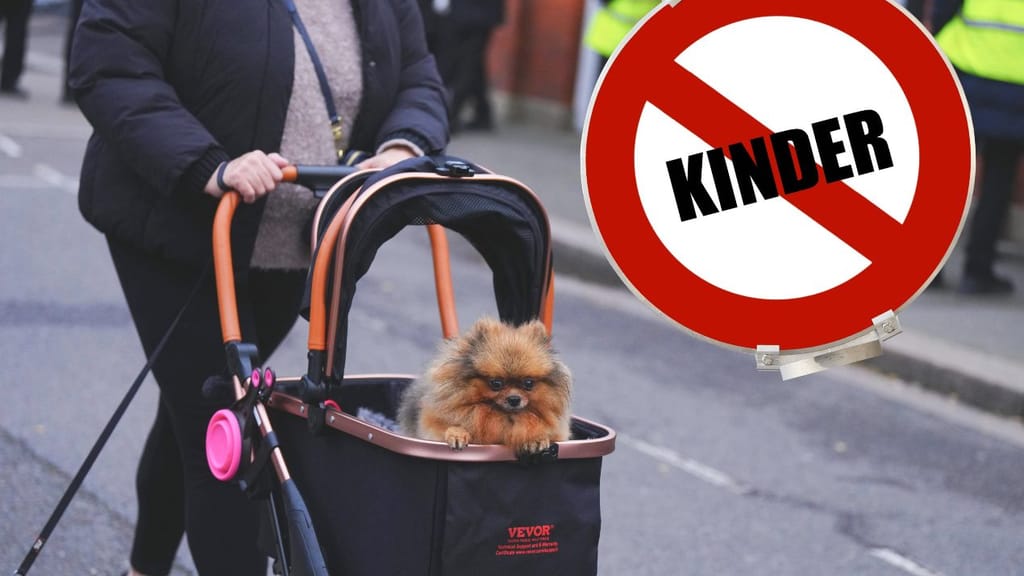 Smartphones, Einsamkeit, Klimaangst: Warum immer weniger Frauen Kinder wollen - politik - exxpress Nachrichten