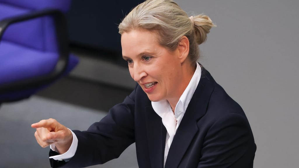 Umfrage-Beben in Deutschland! AfD auf Rekordhoch – Schwarz-Rot stürzt weiter ab - politik - exxpress Nachrichten