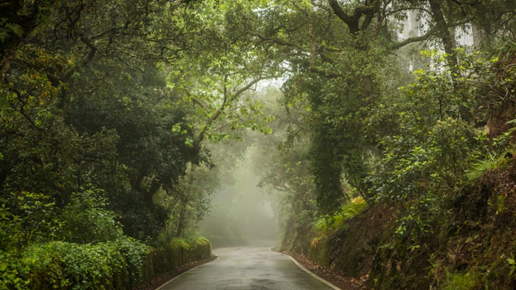 Horror in Portugal: Mutter und Stiefvater setzten zwei kleine Buben im Wald aus - news - exxpress Nachrichten