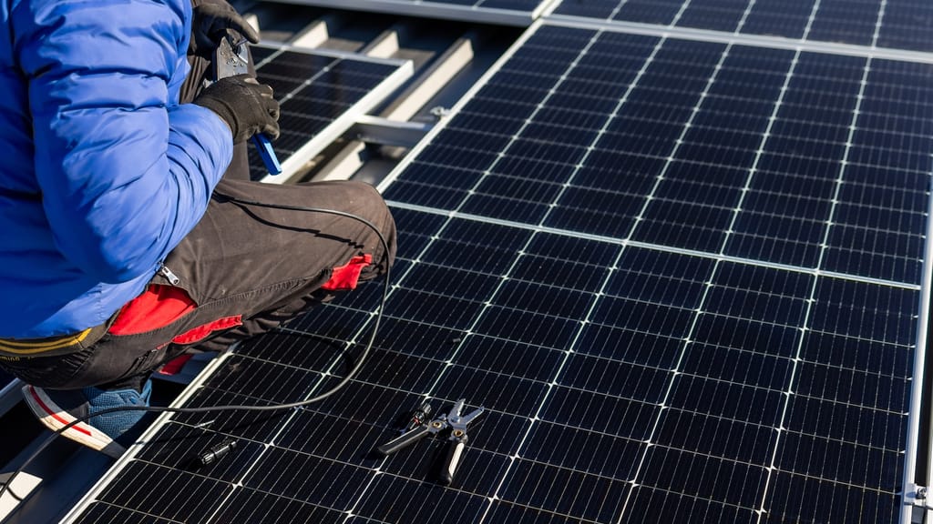 Dienst an der Sonne – nicht an der Waffe? Deutsche Expertin fordert Solarjahr - news - exxpress Nachrichten