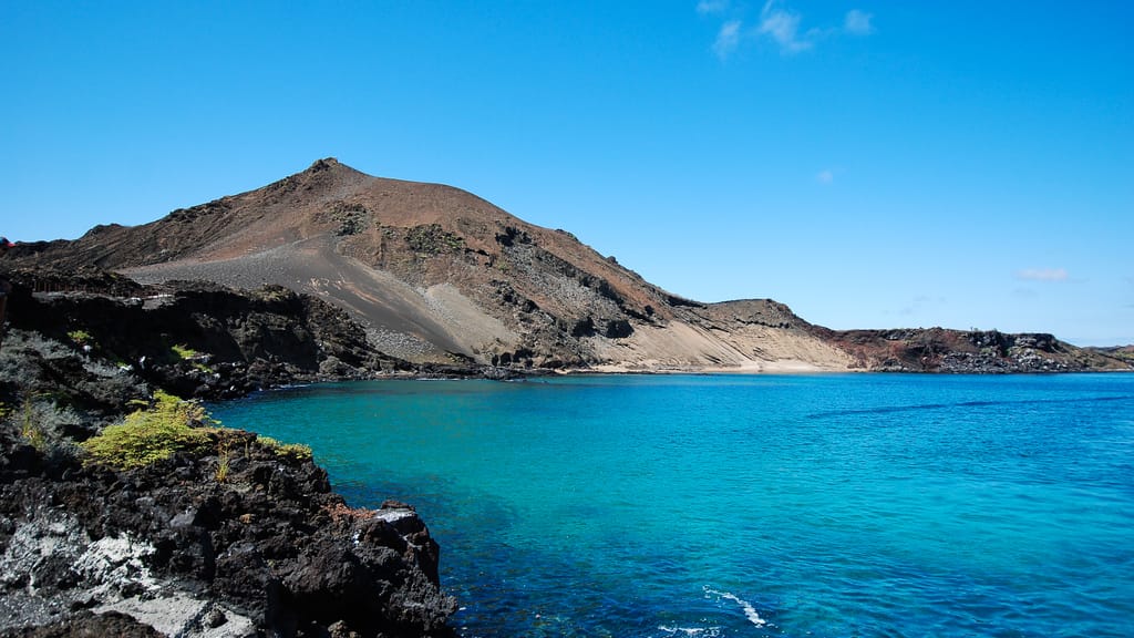 Sensation aus der Tiefsee: Faszinierendes Tier vor den Galápagos-Inseln entdeckt - news - exxpress Nachrichten