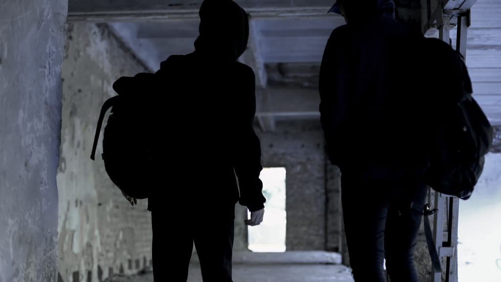 Jugendbande verspottet Polizei nach Einbruchsversuch in Wien - news - exxpress Nachrichten