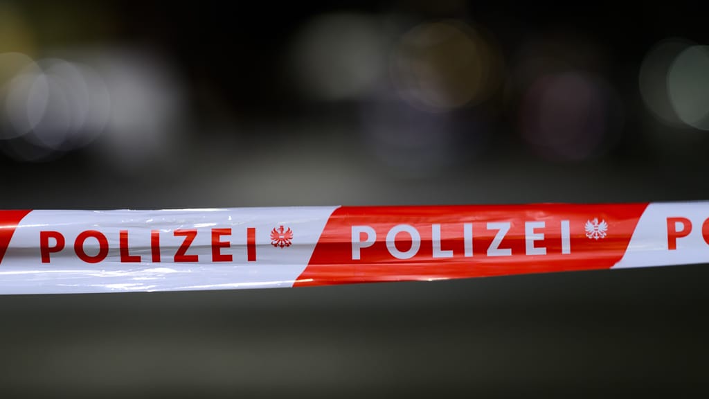 Warnzeichen da, Hilfe nicht erreicht: Wiener Studie über Gewalt vom eigenen Partner - news - exxpress Nachrichten