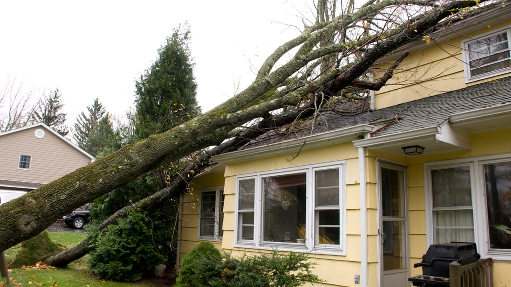 Unwetter-Chaos in Österreich: Bäume stürzen um, Schloss-Turm brennt - wetter - exxpress Nachrichten