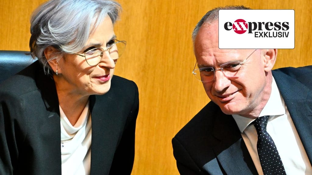 Vergewaltigung: Knapp jeder zweite Tatverdächtige kein Österreicher - politik - exxpress Nachrichten