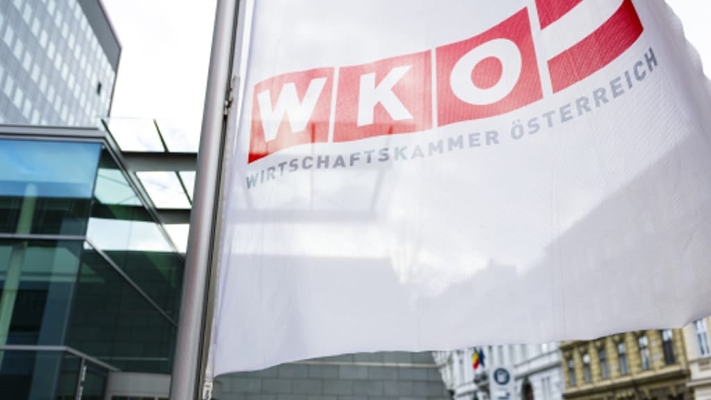 Freiheitliche Wirtschaft begrüßt WKÖ-Reformen – fordert aber deutlich mehr Tempo - economy - exxpress Nachrichten