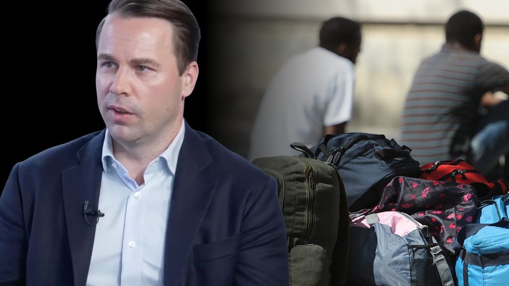 Asylrichter zeigte Missstände an – dann wurde sein Büro durchsucht - politik - exxpress Nachrichten