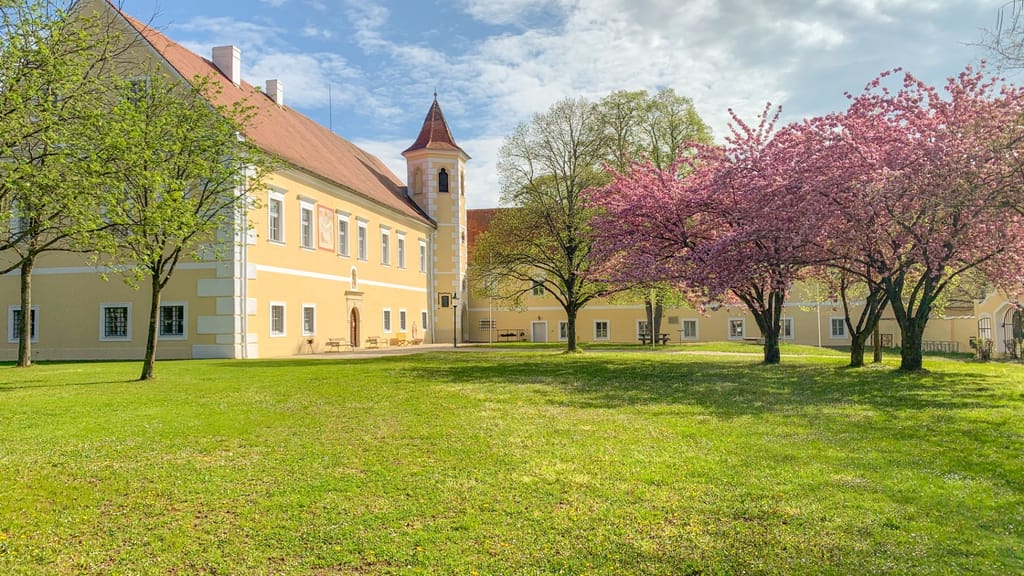 Talentschmiede im Schubert-Schloss: Hier erklingen die Klassik-Stars von morgen - lifestyle - exxpress Nachrichten