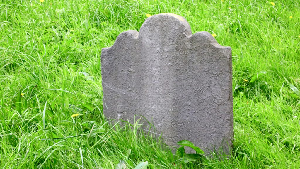 Polen unter Schock: Ermittler finden 34 Babyföten im Garten einer Ärztin - news - exxpress Nachrichten