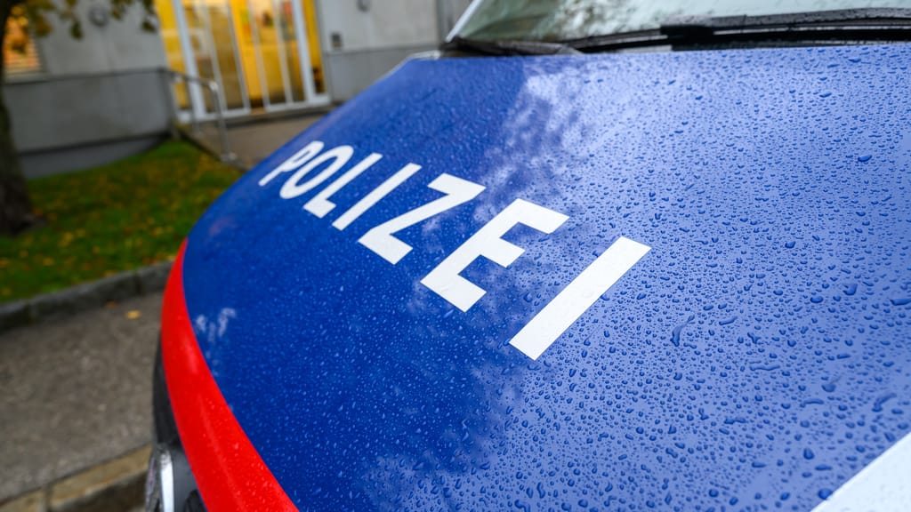 13-Jährige quälen Bub, Vater nimmt Rache: Endstation U-Haft! - news - exxpress Nachrichten