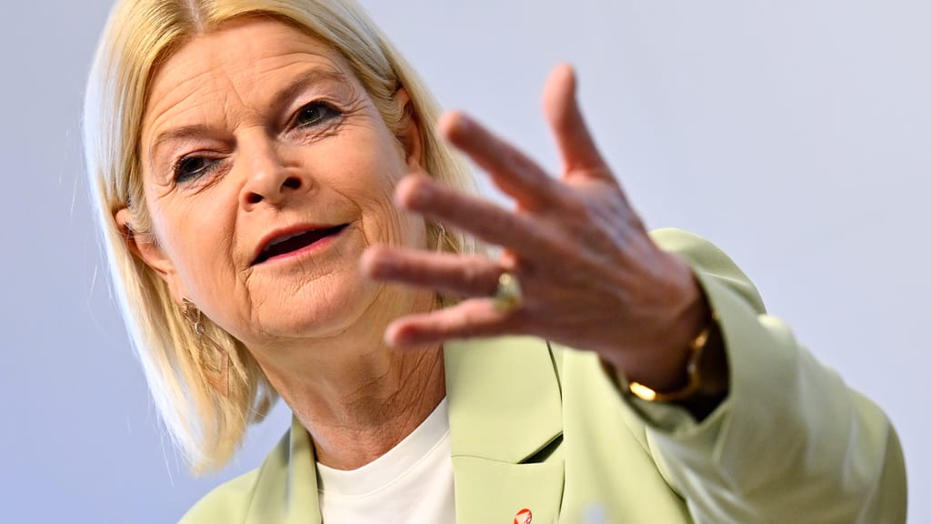 Wehrpflicht-Streit eskaliert: Tanner fordert rasche Entscheidung - politik - exxpress Nachrichten