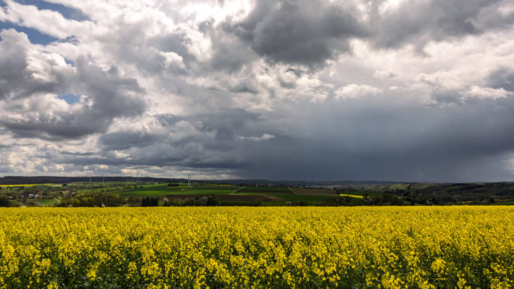 Bis zu 37 Grad – dann kommt der Umschwung: Gewitter beenden die Hitze - news - exxpress Nachrichten