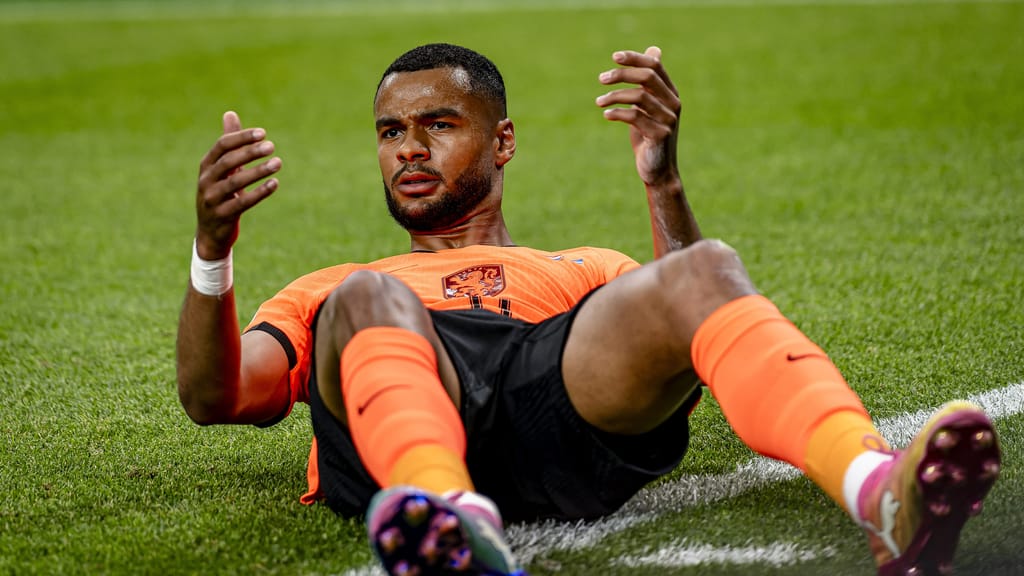 Gakpo traft nach hartem Schicksalsschlag – aber Marokko schmeißt Holland aus WM - sport - exxpress Nachrichten