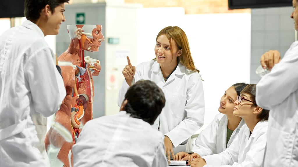 Medizin-Aufnahmetest: Fast 17.000 kämpfen am Freitag um 1.950 Studienplätze - news - exxpress Nachrichten