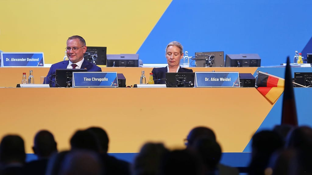Weidel legt zu, Chrupalla büßt ein: AfD bestätigt Parteispitze - news - exxpress Nachrichten