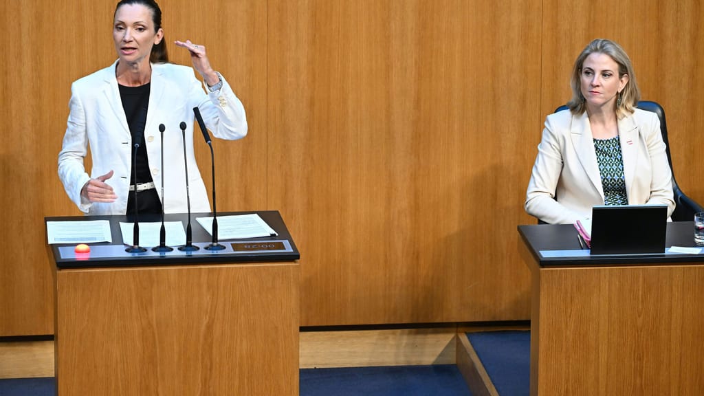 25 Seiten „politische Naivität“: FPÖ zerpflückt Österreichs Afrikastrategie - politik - exxpress Nachrichten