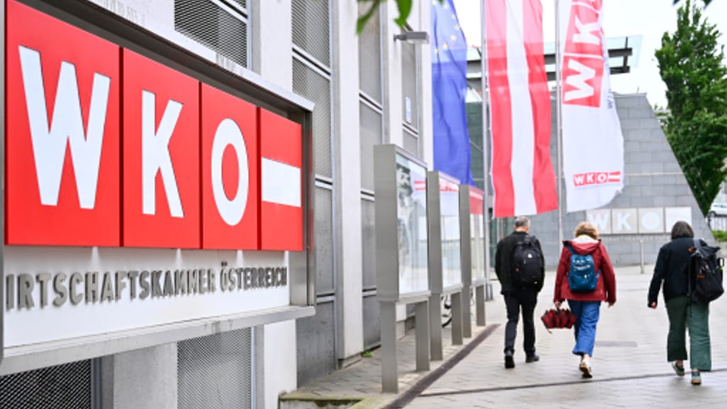 Kritik vom Rechnungshof: Wirtschaftskammern müssen endlich schlanker werden - economy - exxpress Nachrichten