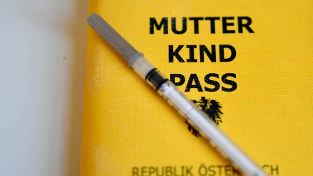 Nächste Digital-Pleite: E-Eltern-Kind-Pass muss um ein Jahr verschoben werden - politik - exxpress Nachrichten
