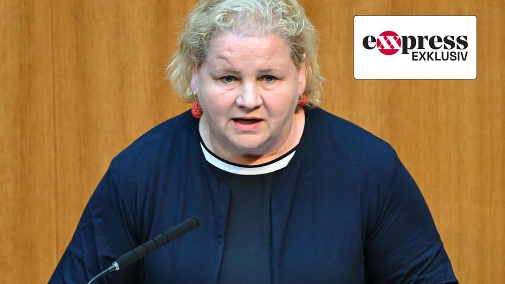 Steuermillionen für Asyl-NGO, die gegen Karners Migrationspolitik kämpft - politik - exxpress Nachrichten