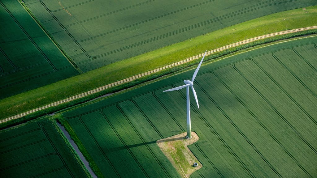 Fast 170 Meter hoch, Kosten von 10 Millionen: Wegen Lärm muss Windturbine weg - news - exxpress Nachrichten