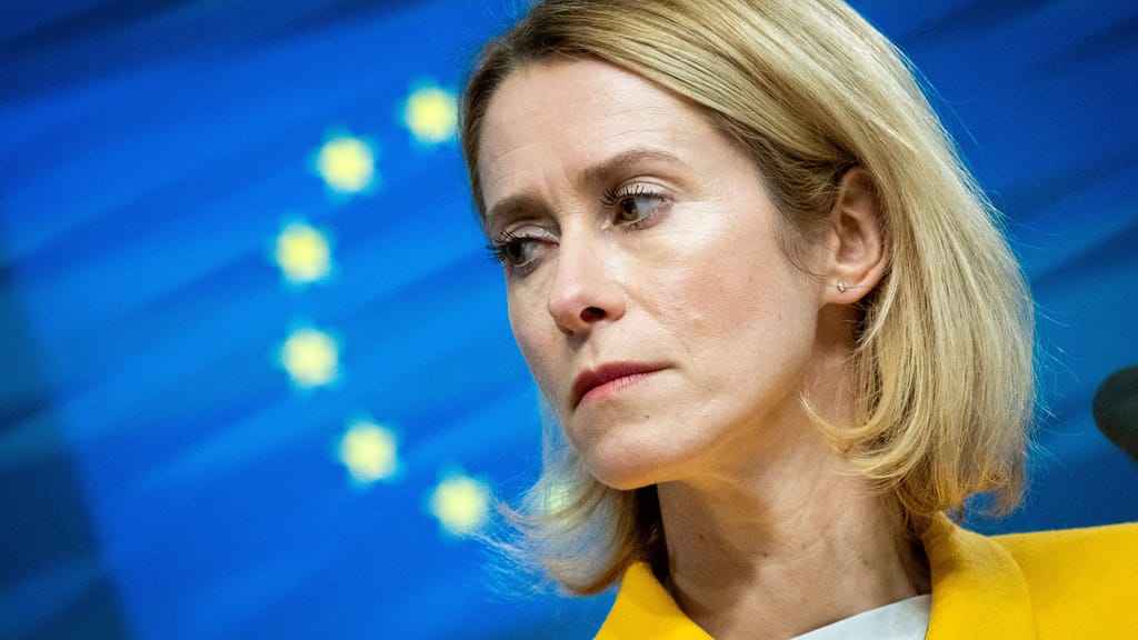 Wegen russischer Teilnahme: EU kappt Finanzierung der Biennale - politik - exxpress Nachrichten