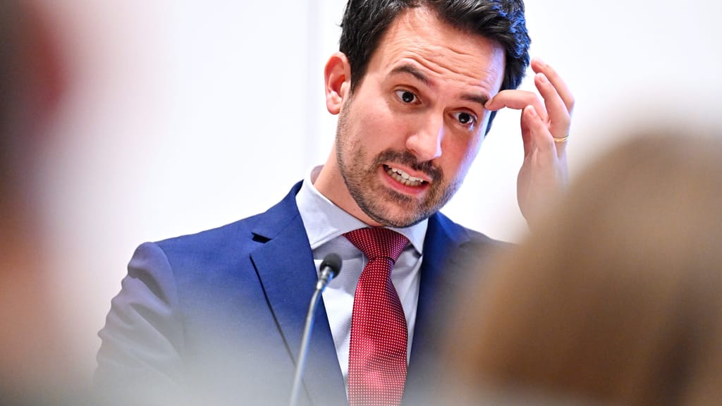 Nach Dengler-Rauswurf: NEOS suchen neue Politiker - politik - exxpress Nachrichten