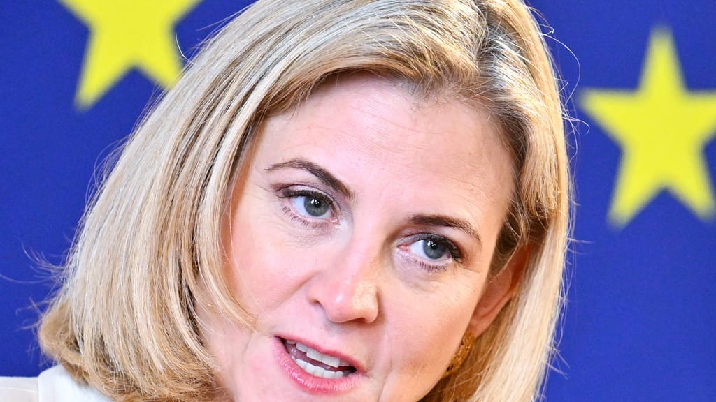 Fall Dengler zeigt: So autoritär regiert Meinl-Reisinger - politik - exxpress Nachrichten