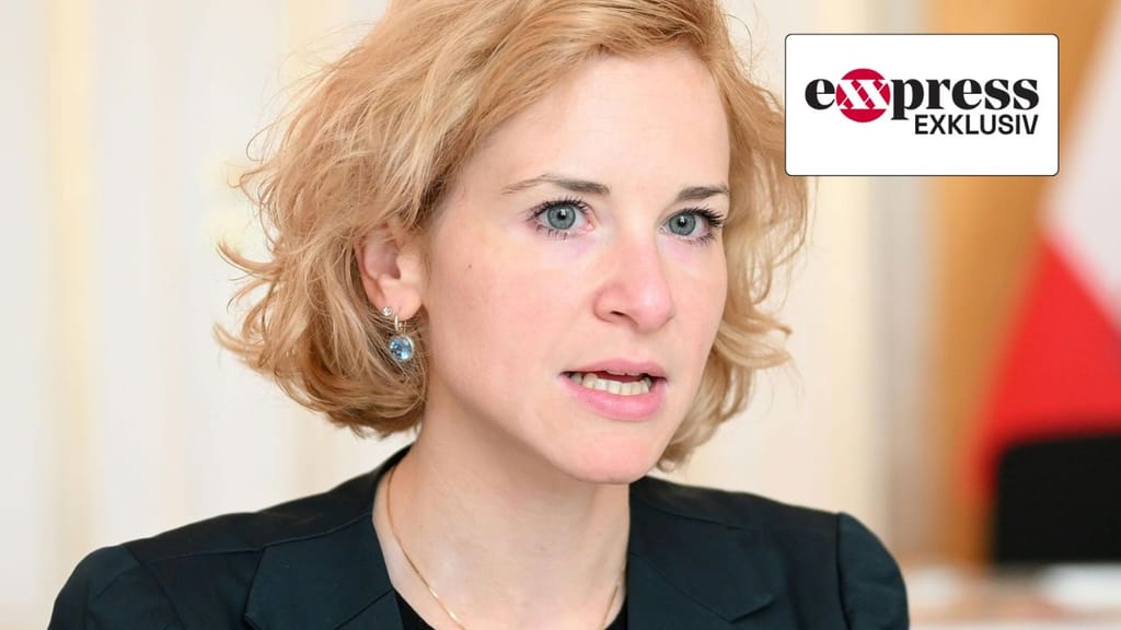 Mehr als 237.000 Euro für Migrantinnen-Verein – aber Ministerium fehlen Details - politik - exxpress Nachrichten