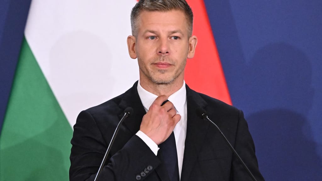 Fidesz: Ungarns neuer Präsident illegitim – Kritik an Brüssels „Doppelmoral“ - politik - exxpress Nachrichten