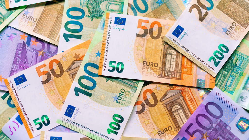 Callas, Curie oder Vögel? Bürger sollen über neue Euro-Scheine abstimmen - economy - exxpress Nachrichten