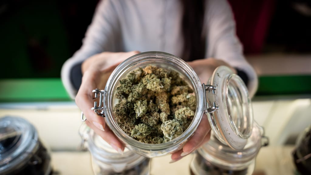 Vom Lifestyleprodukt zum Klinikfall: Die neue Realität des Cannabis-Booms - news - exxpress Nachrichten
