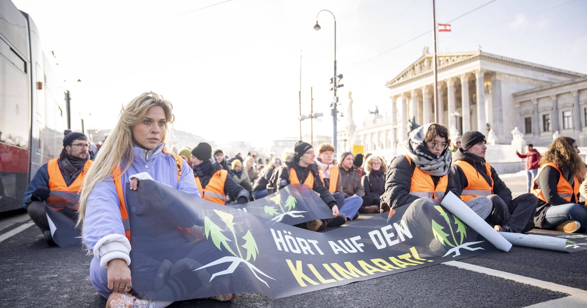 Finale im Mammutverfahren: „Klima-Shakira" und "Letzte Generation" vor Gericht