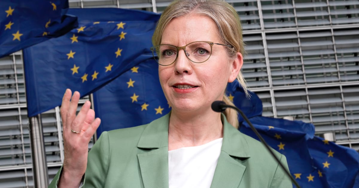 Parteifinanzen: KPÖ droht Strafe wegen verspäteter RH-Meldung