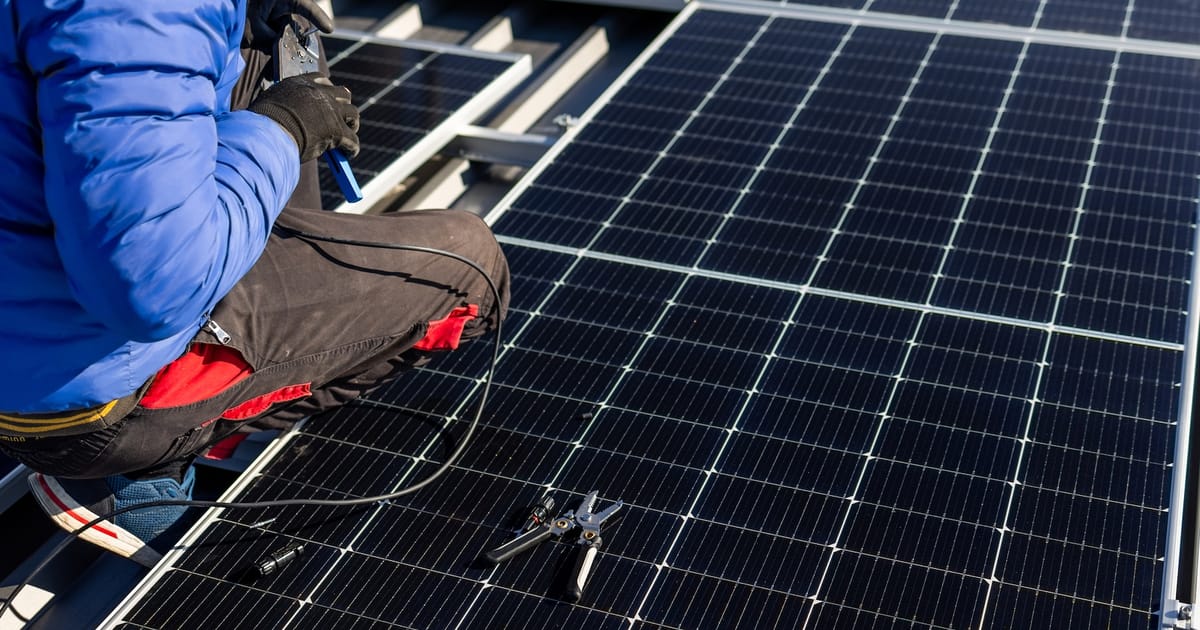 Dienst-an-der-Sonne-nicht-an-der-Waffe-Deutsche-Expertin-fordert-Solarjahr