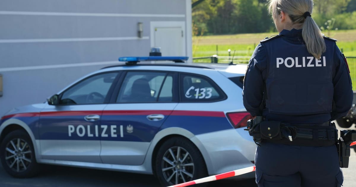 21 Hausdurchsuchungen: Schwarzarbeits-Razzia mit Spur ins SPÖ-Umfeld