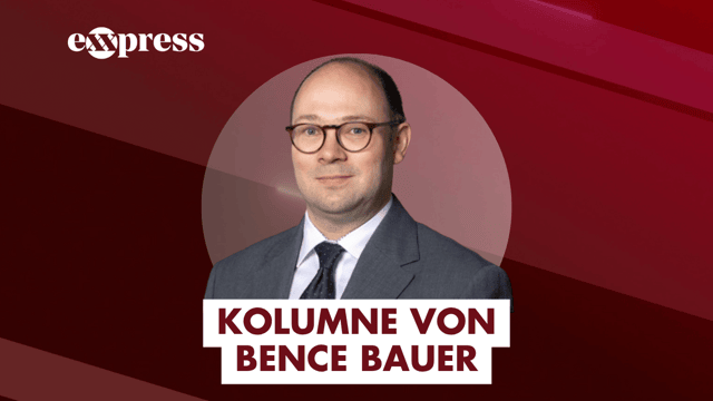 Bence Bauer: Wer sind die Tisza-Leute?