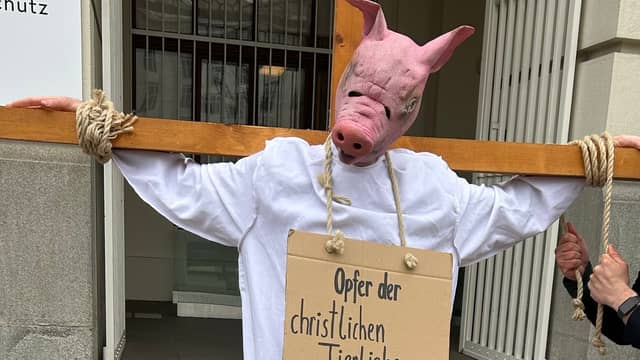 Abartige Karfreitags-Provokation: Tierschützer verhöhnen Jesus mit Schweinekopf