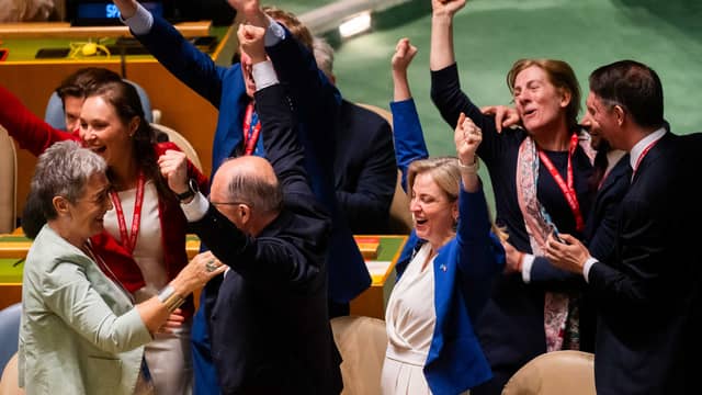 UN-Sicherheitsrat: Österreich siegt – und zahlt 20 Millionen dafür