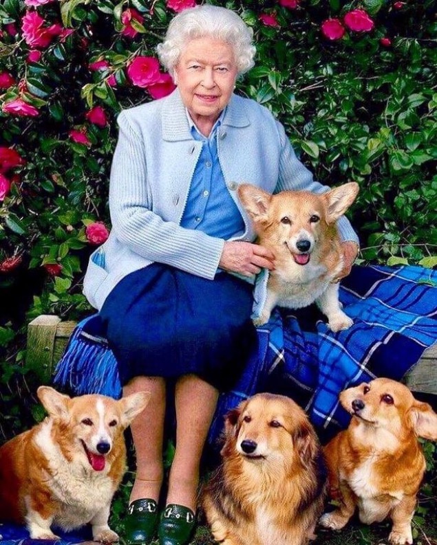 Queen die trauernde süßen trösten beiden Hundewelpen jetzt Exxpress | Diese
