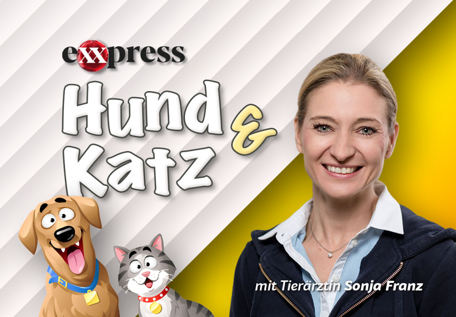 -Hund-Katz-das-neue-Tier-Magazin-auf-eXXpressTV-