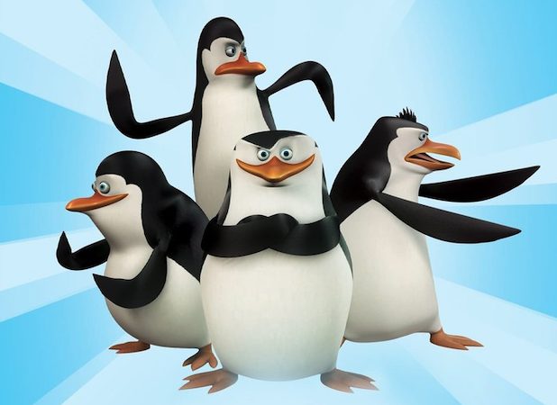 Pinguin müsste man sein! Skipper, Kowalski, Rico & Co. machen 10.000  Nickerchen am Tag
