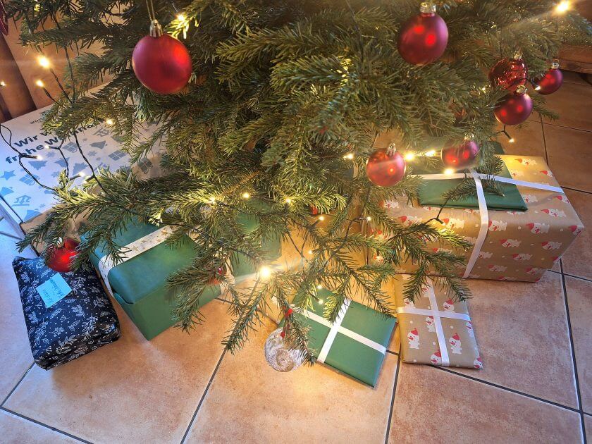 Christbaumverkauf-in-Wien-und-Nieder-sterreich-er-ffnet