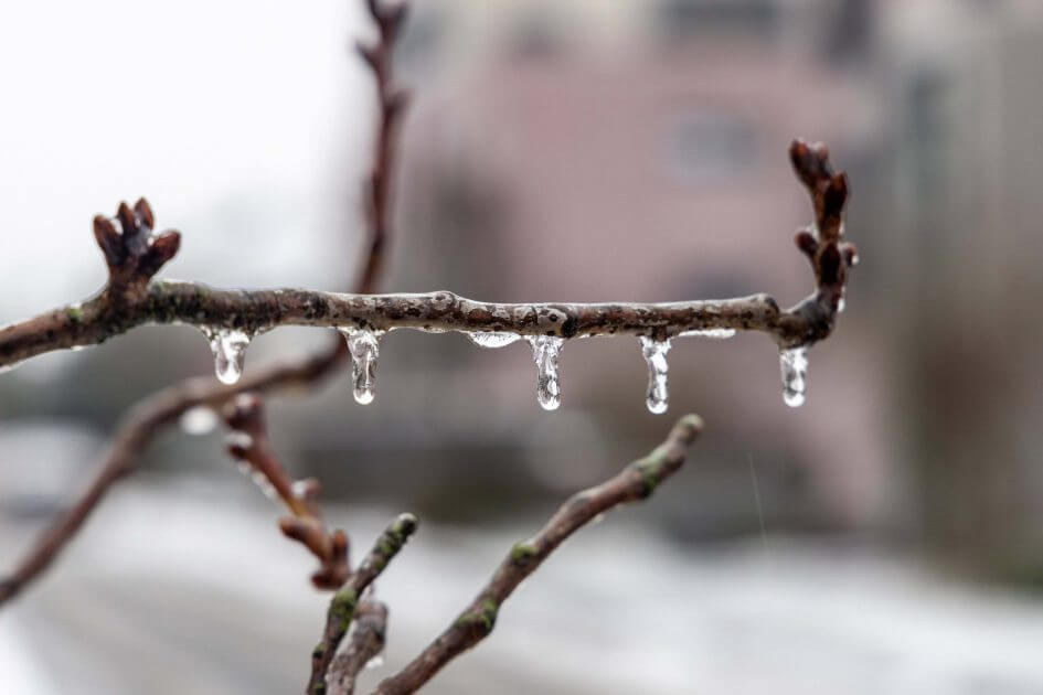Nebel-Eis-Regen-Wetterumschwung-zum-Wochenende