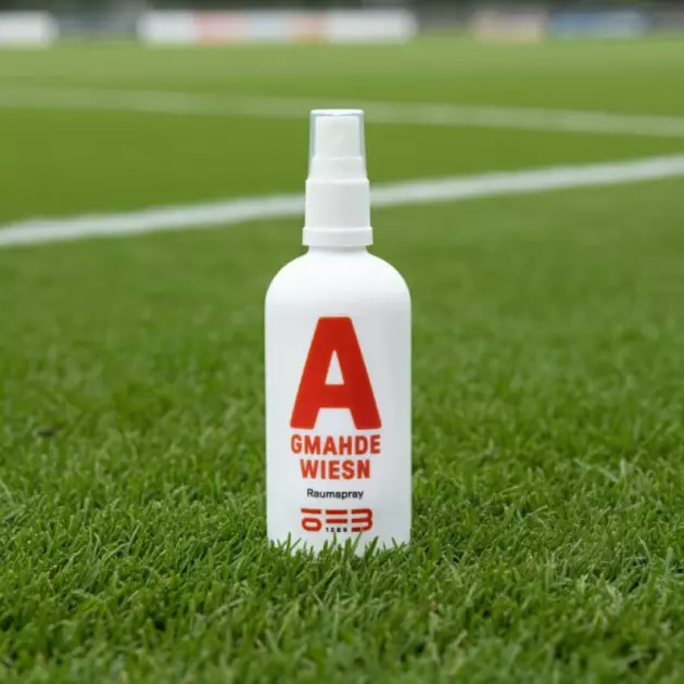 Wenn-Fu-ball-Geschichte-f-r-die-Nase-schreibt