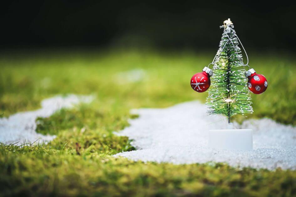 Trend-hin-zu-kleineren-Christb-umen-sterreich-spart-sich-durch-den-Advent