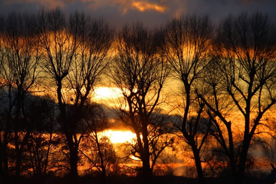 Zwischen-Nebeldecke-und-Fr-hlingseinbruch-So-wird-das-Wetter-heute