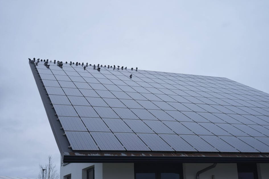 Hochnebel-bremst-Solarenergie-Ein-Drittel-weniger-Strom-aus-PV-Anlagen