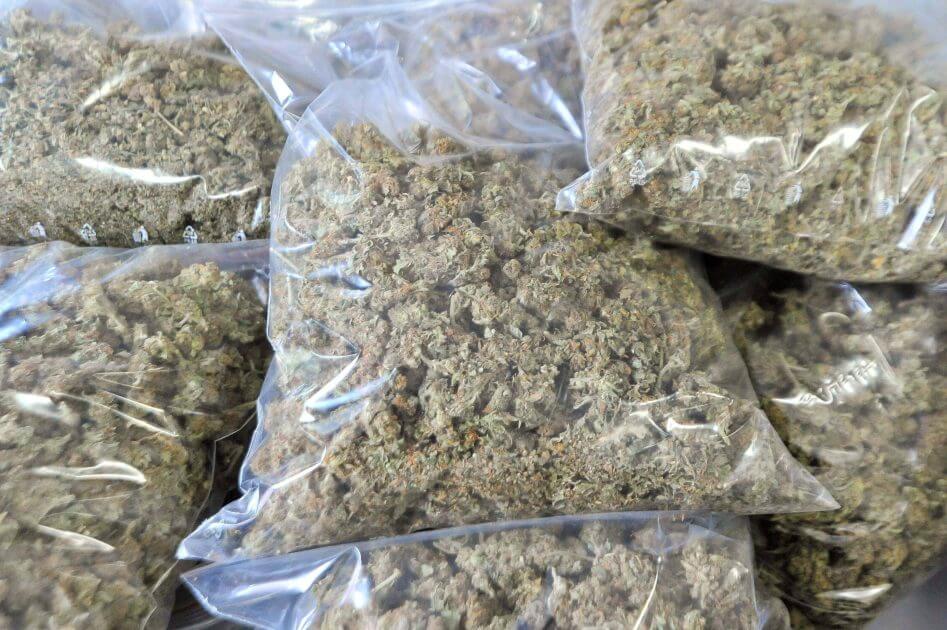 Steirer-arbeitslos-aber-Gro-dealer-Ermittler-sto-en-auf-brisantes-Drogenlager