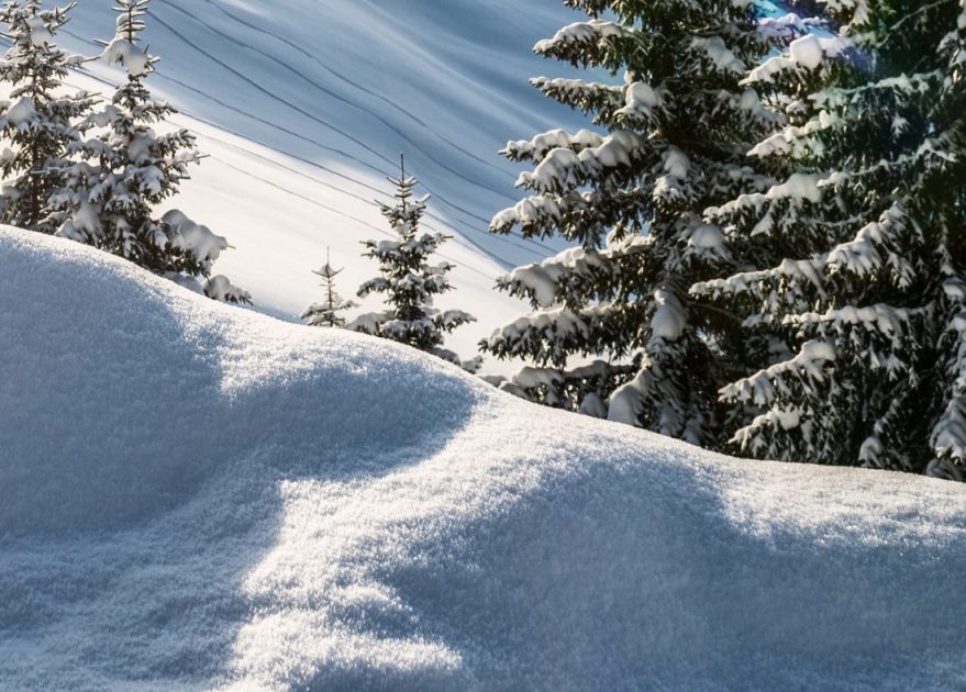 Schneealarm-Dieses-Bundesland-erwartet-eine-Winter-R-ckkehr-