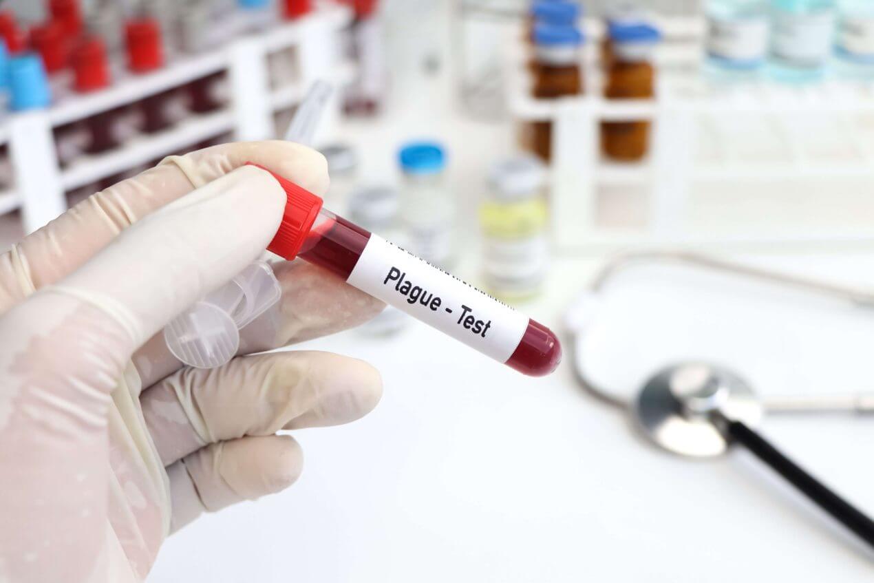 Pest-Alarm in Kalifornien